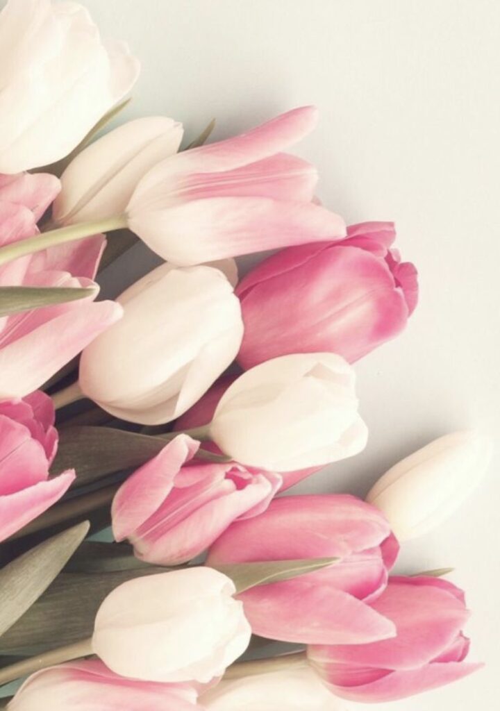 Lente